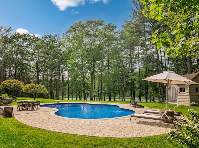 20 Doe Dr, Eliot, ME 03903 - outdoor pool featuring a patio area and a lawn