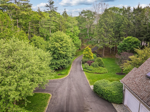 20 Doe Dr, Eliot, ME 03903 - view of asphalt road with a forest view
