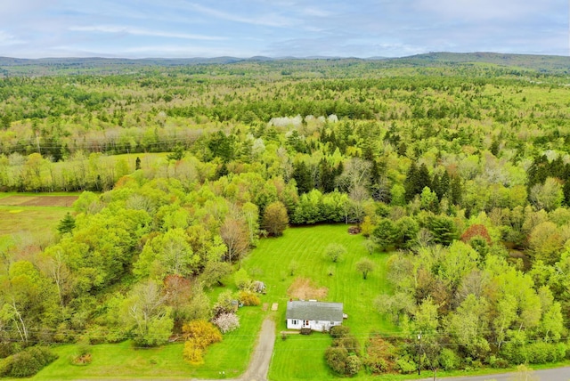 180 Old County Rd, Searsport, ME 04974 - photo 1