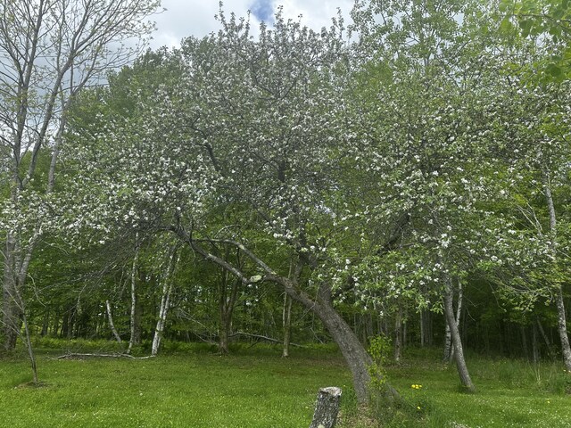 180 Old County Rd, Searsport, ME 04974 - photo 12