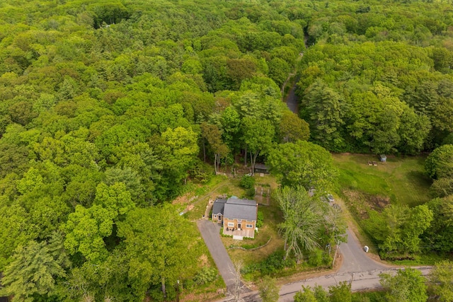 83 Brixham Rd, York, ME 03909 - aerial view of a forest