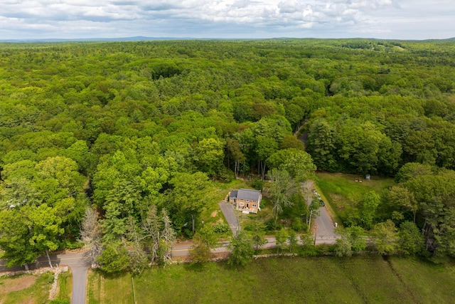 83 Brixham Rd, York, ME 03909 - bird's eye view of a heavily wooded area
