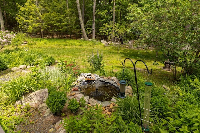 83 Brixham Rd, York, ME 03909 - view of yard