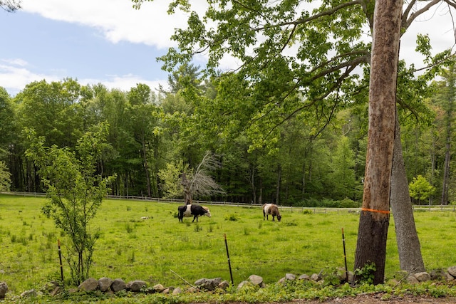 83 Brixham Rd, York, ME 03909 - view of community with a view of countryside and a forest view
