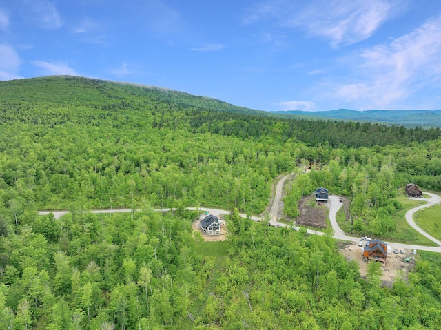 70 Harmony Row, Bethel, ME 04217 - photo 28