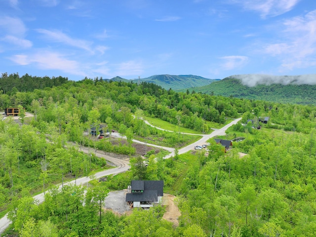 70 Harmony Row, Bethel, ME 04217 - photo 29