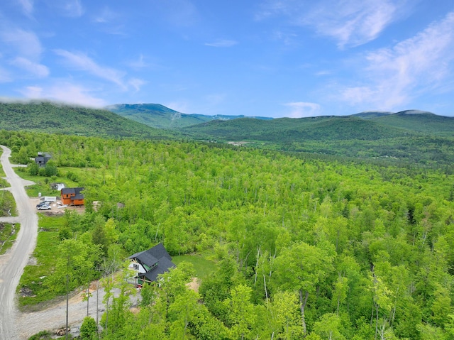 70 Harmony Row, Bethel, ME 04217 - photo 27