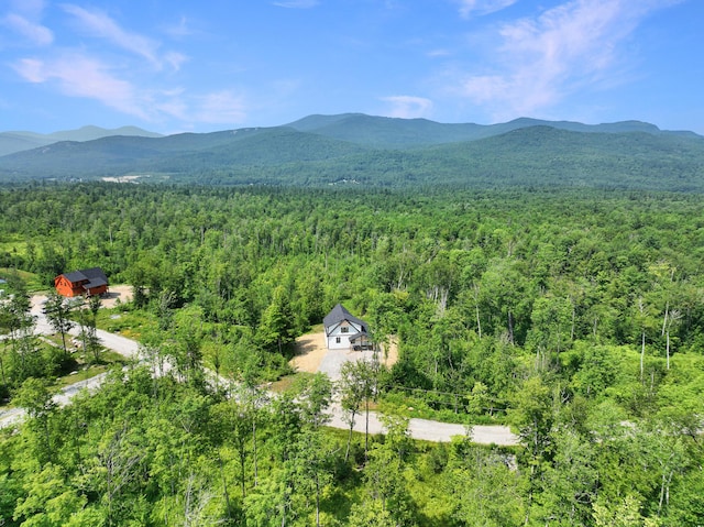 70 Harmony Row, Bethel, ME 04217 - photo 25