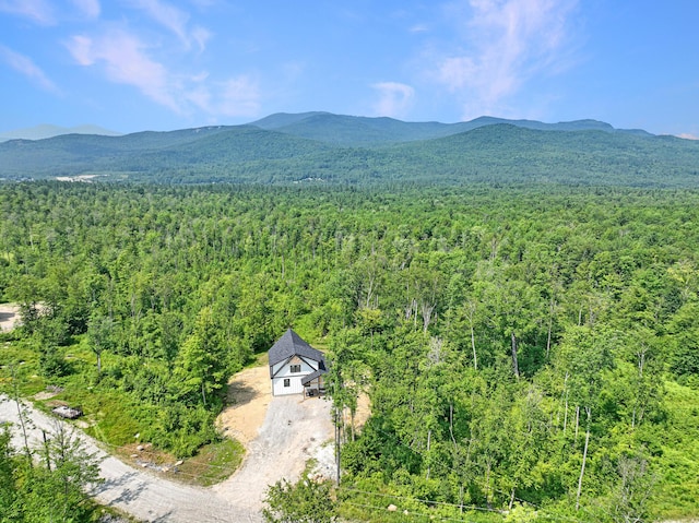 70 Harmony Row, Bethel, ME 04217 - photo 26