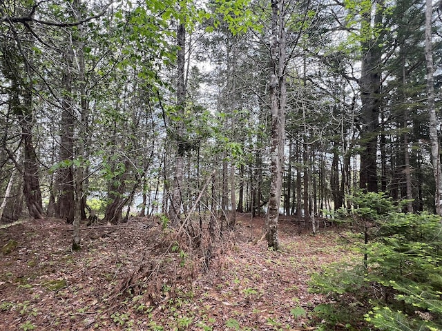 35 Old Mill Stream Rd, Sullivan, ME 04664