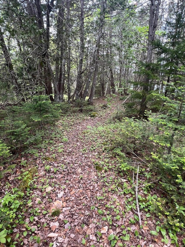 35 Old Mill Stream Rd, Sullivan, ME 04664