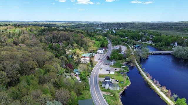 590 Main St, East Machias, ME 04630 - view of property location with a forest and a nearby body of water
