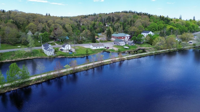 590 Main St, East Machias, ME 04630 - aerial overview of property's location with a forest and a large body of water
