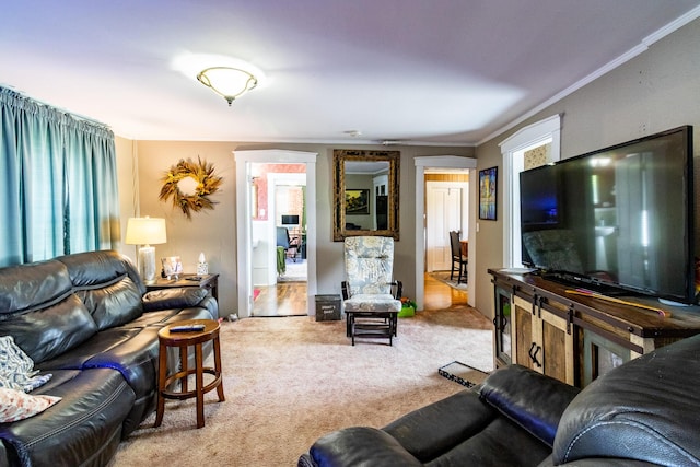 590 Main St, East Machias, ME 04630 - living room with carpet, ornamental molding, and healthy amount of natural light