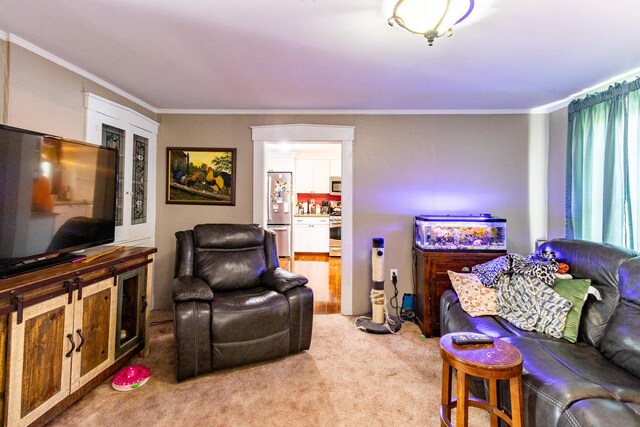 590 Main St, East Machias, ME 04630 - living room with ornamental molding and light colored carpet