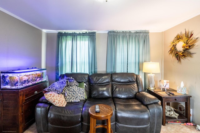 590 Main St, East Machias, ME 04630 - carpeted living room featuring crown molding