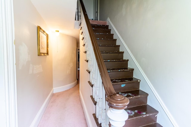 590 Main St, East Machias, ME 04630 - stairs featuring carpet flooring and baseboards