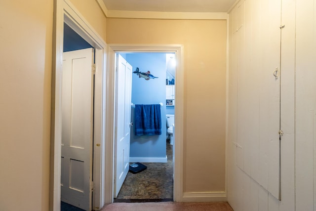 590 Main St, East Machias, ME 04630 - corridor featuring carpet floors and baseboards