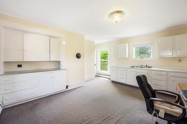 123 Main St, Newport, ME 04953 - carpeted office space featuring a sink, baseboard heating, and baseboards