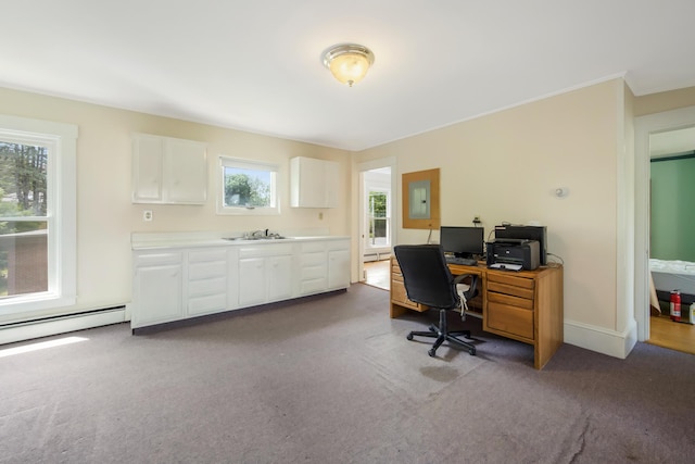 123 Main St, Newport, ME 04953 - home office featuring carpet, a baseboard radiator, and electric panel