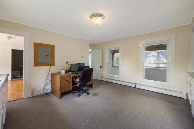 123 Main St, Newport, ME 04953 - office with electric panel, carpet, crown molding, and a baseboard radiator