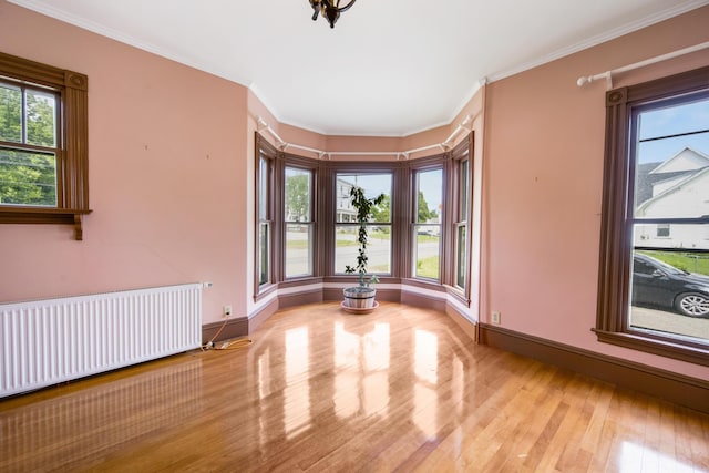 123 Main St, Newport, ME 04953 - unfurnished room featuring radiator, wood finished floors, plenty of natural light, and ornamental molding