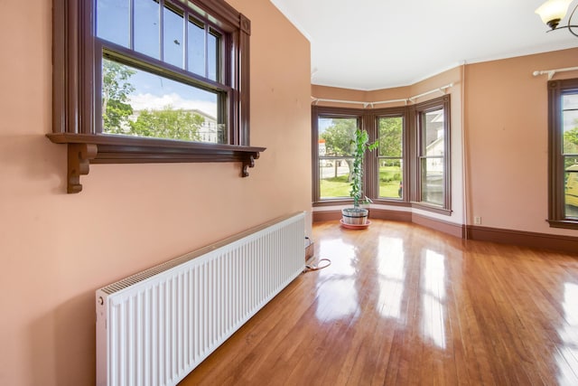123 Main St, Newport, ME 04953 - corridor featuring radiator heating unit and wood finished floors