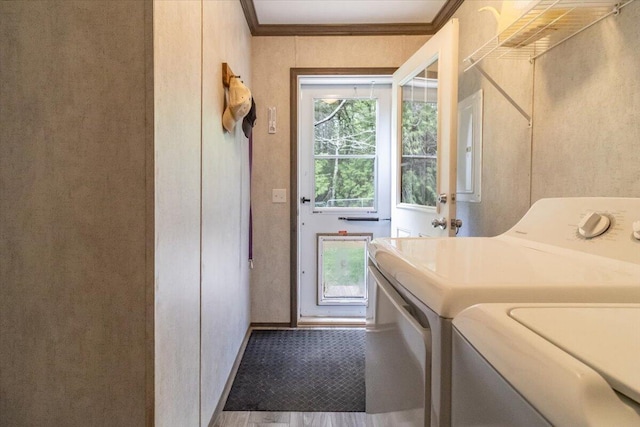833 Sedgwick Ridge Rd, Sedgwick, ME 04676 - laundry area with washer and dryer and ornamental molding