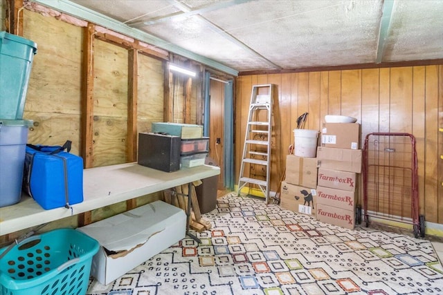 833 Sedgwick Ridge Rd, Sedgwick, ME 04676 - basement featuring wooden walls