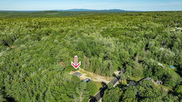833 Sedgwick Ridge Rd, Sedgwick, ME 04676 - photo 87