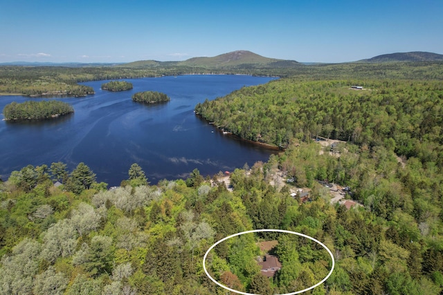200 Flanders Pond Rd, Sullivan, ME 04664 - drone / aerial view of a water and mountain view and a forest