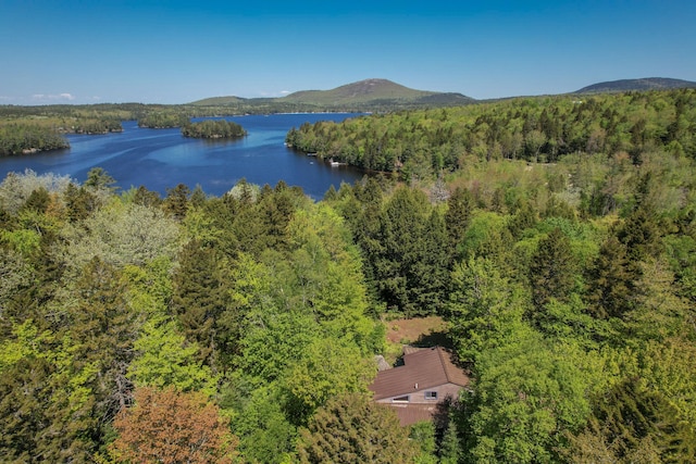 200 Flanders Pond Rd, Sullivan, ME 04664 - drone / aerial view of a water and mountain view and a heavily wooded area