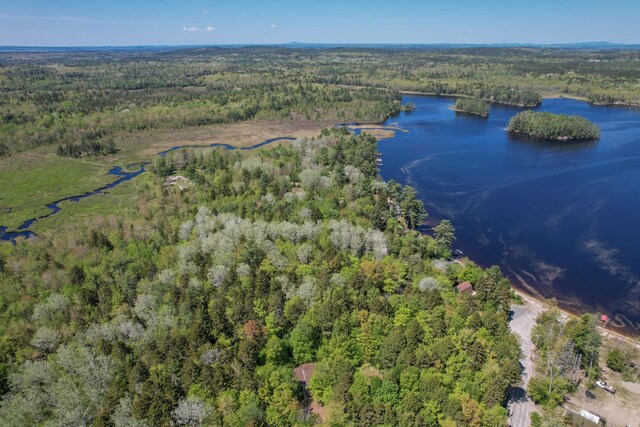 200 Flanders Pond Rd, Sullivan, ME 04664 - view of property location with a forest and a nearby body of water