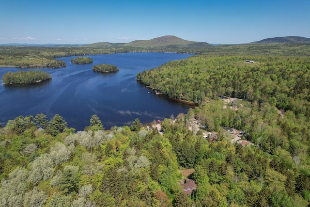 200 Flanders Pond Rd, Sullivan, ME 04664 - drone / aerial view of a heavily wooded area and a water and mountain view
