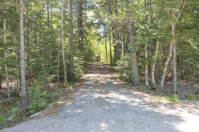 200 Flanders Pond Rd, Sullivan, ME 04664 - view of dirt / gravel road with a wooded view