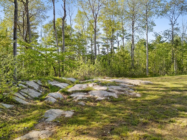 41 Quarry Trl, South Thomaston, ME 04858 - photo 75