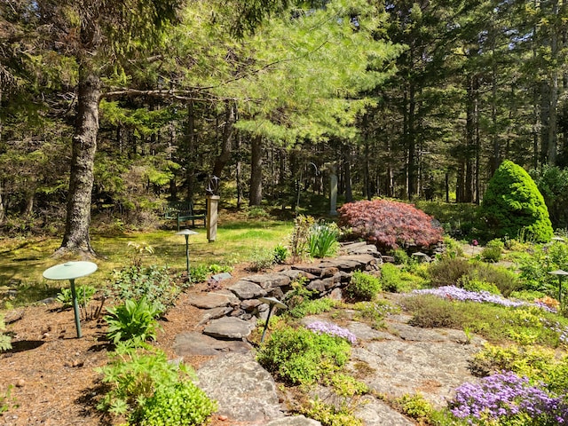 56 S Cobbtown Rd, Lincolnville, ME 04849 - photo 37