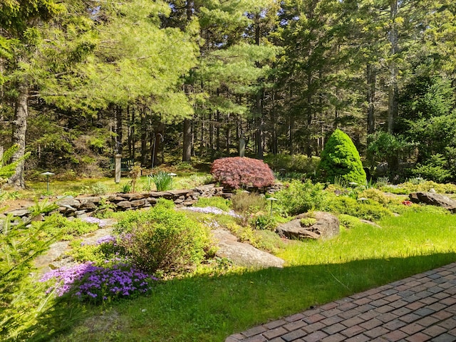 56 S Cobbtown Rd, Lincolnville, ME 04849 - photo 46