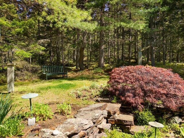 56 S Cobbtown Rd, Lincolnville, ME 04849 - photo 47