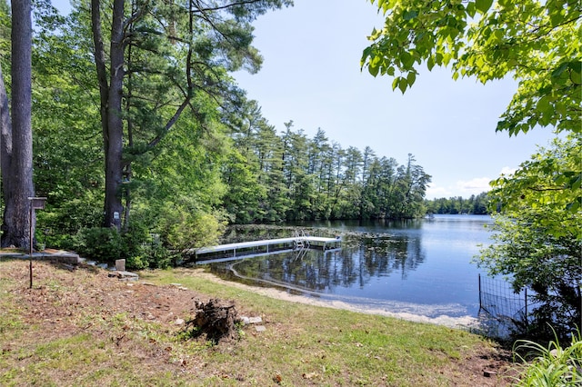 30 Otter Cove Ln, North Berwick, ME 03906 - water view with a dock