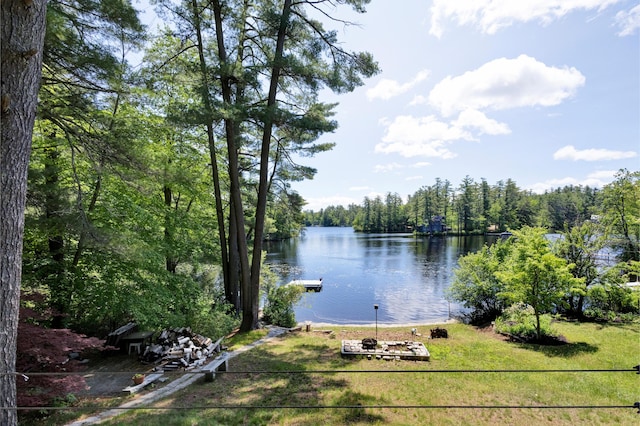 30 Otter Cove Ln, North Berwick, ME 03906 - water view with a forest and a boat dock
