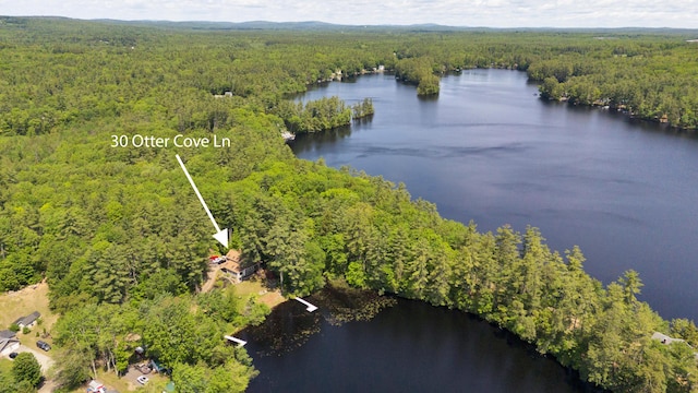 30 Otter Cove Ln, North Berwick, ME 03906 - aerial view of a forest and a large body of water