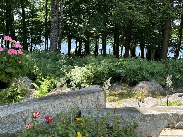 15 Perkins Cove Ln, Oxford, ME 04270 - photo 23