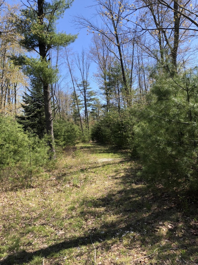 9 Atkinson Ln, Saco, ME 04072 - view of woods