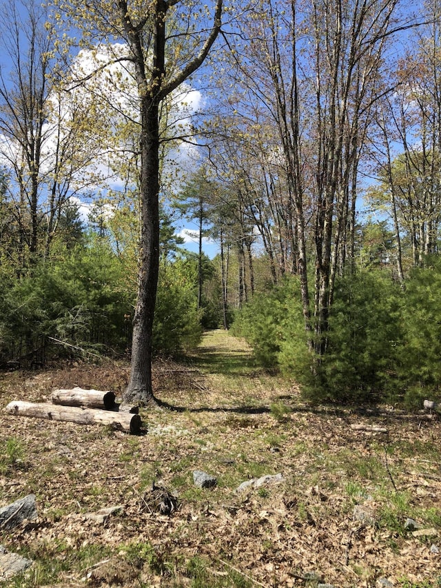 9 Atkinson Ln, Saco, ME 04072 - view of nature