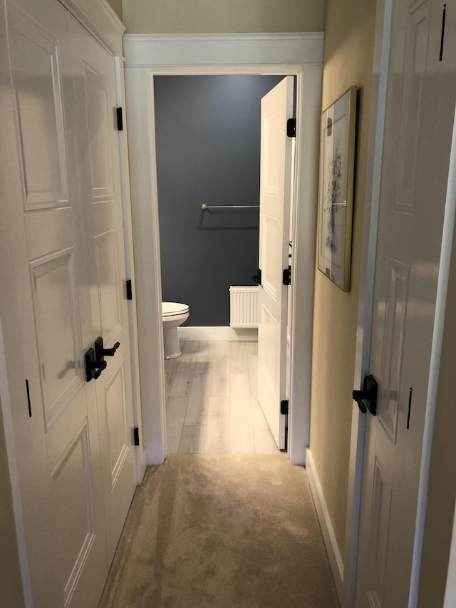 9 Atkinson Ln, Saco, ME 04072 - hallway with baseboards, light colored carpet, and radiator heating unit