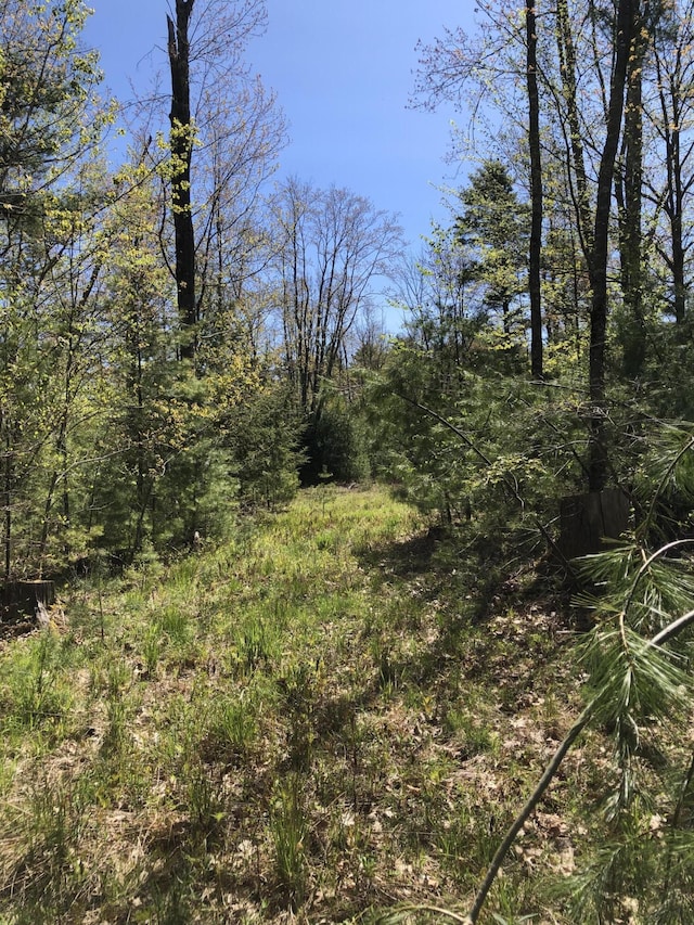 9 Atkinson Ln, Saco, ME 04072 - view of woods