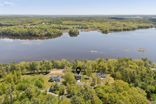 29 Bay Field Dr, Woolwich, ME 04579 - drone / aerial view of a forest and a large body of water