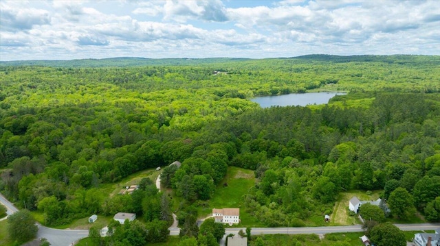 32 Skillings Corner Rd, Auburn, ME 04210 - drone / aerial view of a forest and a large body of water