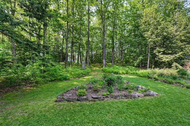 21 Jones Dr, Hartford, ME 04220 - view of grassy yard with a wooded view